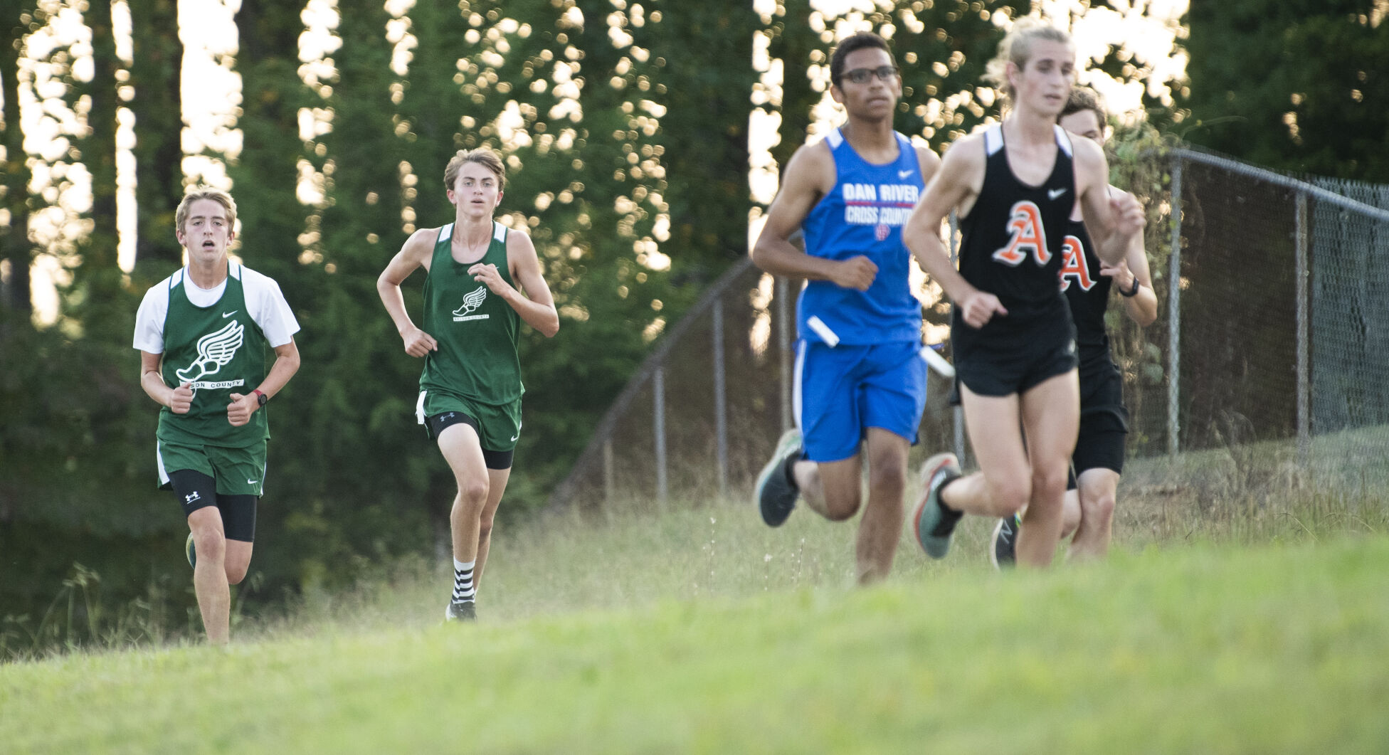 Nelson XC. 3.JPG